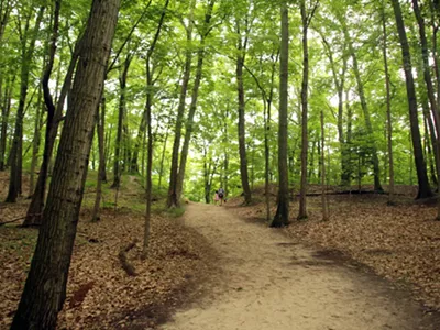 Winding trail through the forest in a Michigan state park.