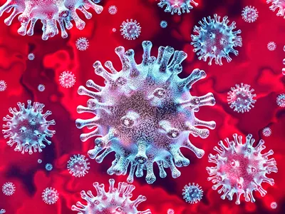 Rendering of the coronavirus.
