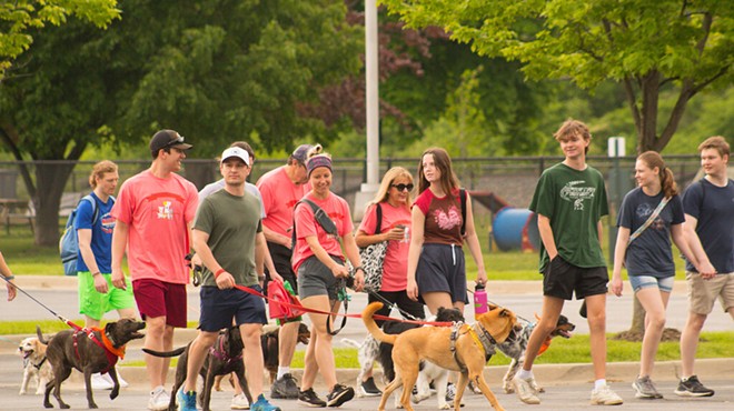 People and their four-legged friends walking at the Mutt Strut.