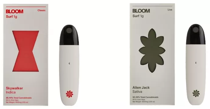 These are among the vapes recalled after a banned substance was discovered.