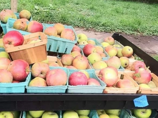 Detroit has a Black-owned cider mill now, complete with hayrides, goats, and fresh produce