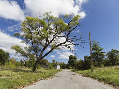 The area near the Coleman A. Young Municipal Airport is largely vacant on Detroit's east side.