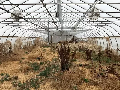 Image: Detroit’s RecoveryPark ordered to repay $750,000 in loans
