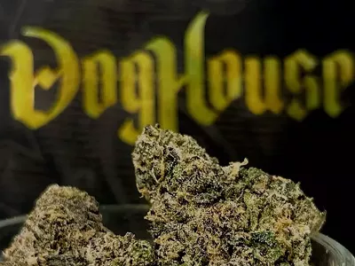 Image: DogHouse Farms proves patience pays off in Detroit’s cannabis scene