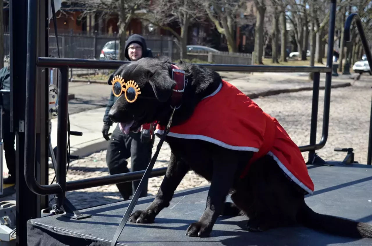 Image: Everything we saw at the 2018 Marche du Nain Rouge