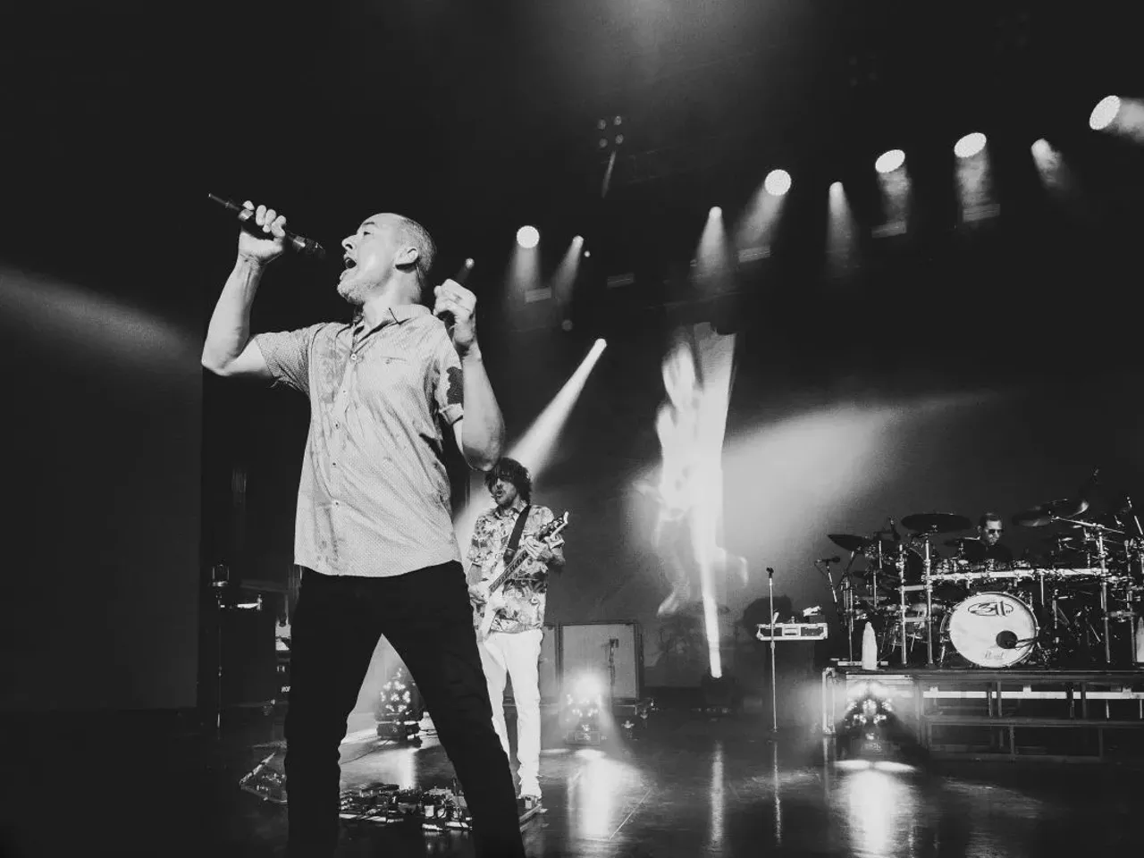 Image: Everything we saw at the 311 and Dirty Heads show at DTE Energy Music Theatre