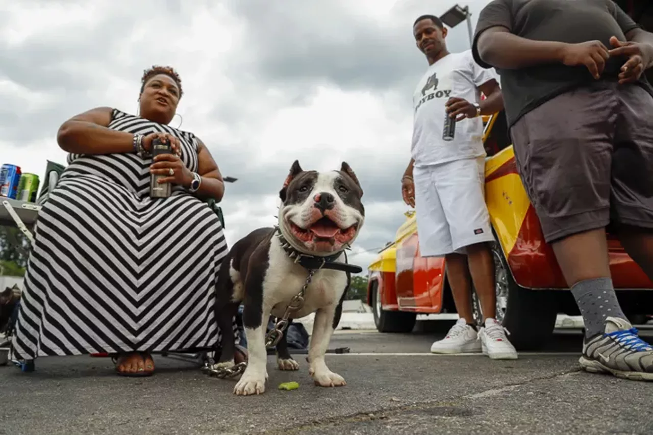Image: Everything we saw at the Woodward Dream Cruise 2019