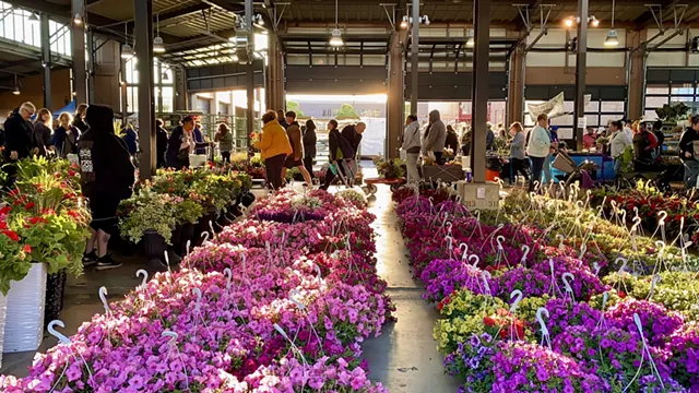 Image: Flower Day 2026
