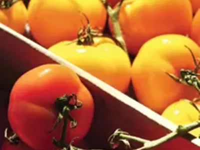 Image: Food Stuff