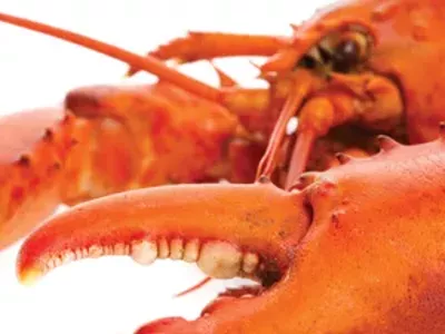 Image: Food Stuff