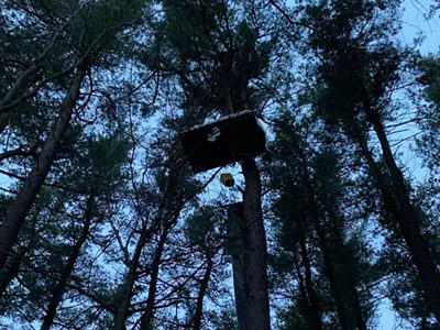 A protester is camped high in a tree to protect a forested section of Ann Arbor from being cleared for a luxury homes project.