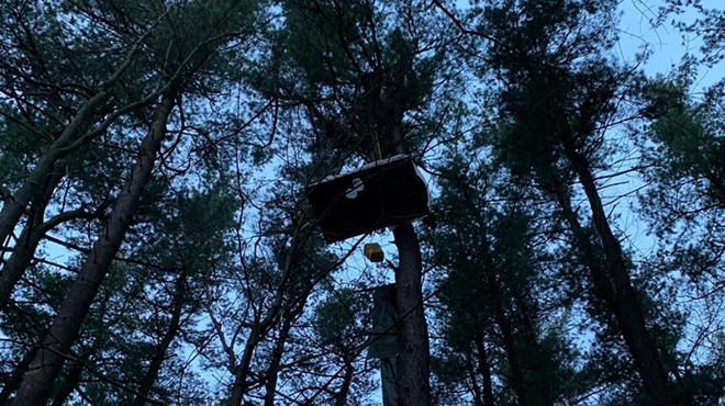 A protester is camped high in a tree to protect a forested section of Ann Arbor from being cleared for a luxury homes project.