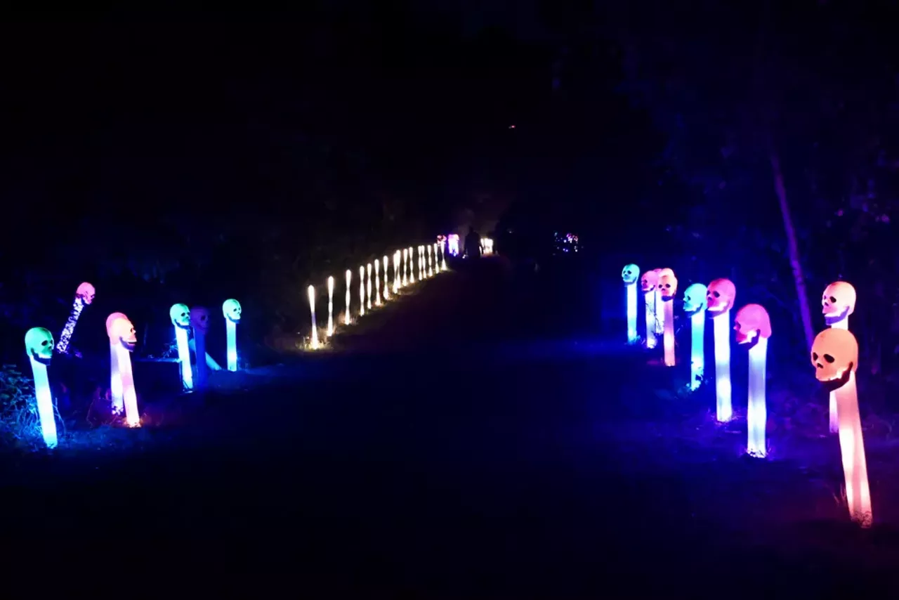 Image: Glenlore Trails' trippy and illuminated haunted forest is spookier than ever &#151;&nbsp;here's a preview