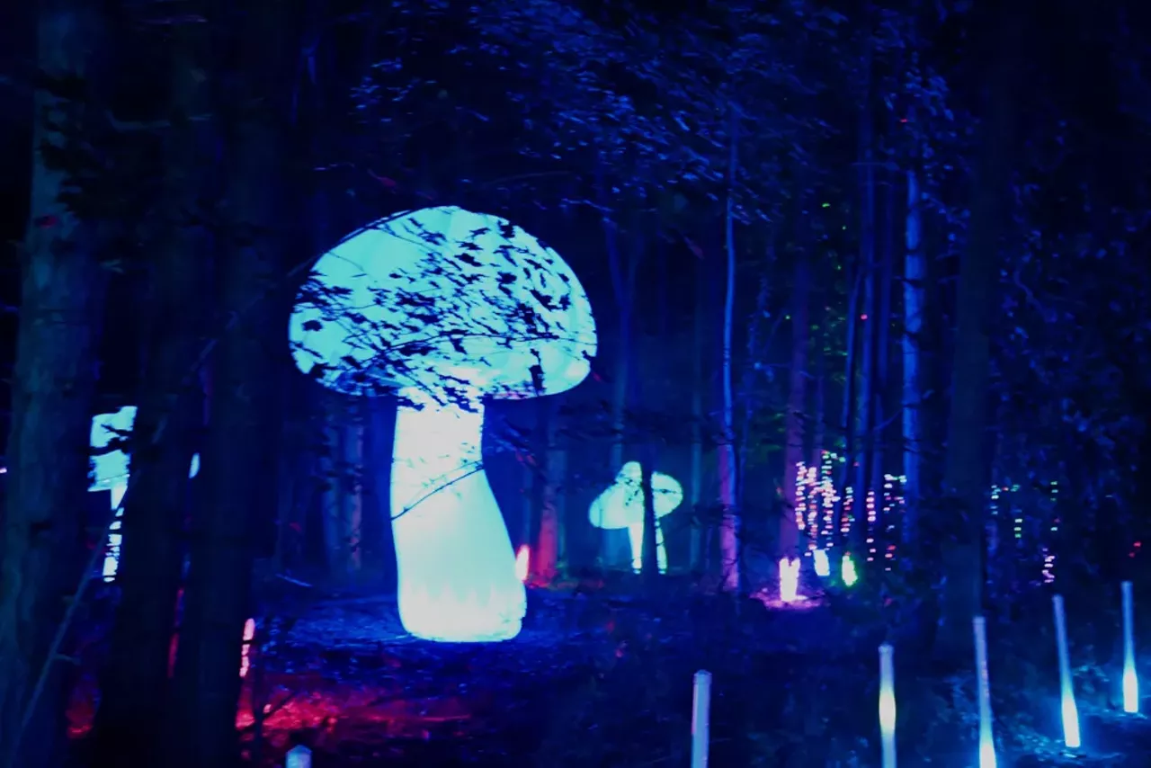 Image: Glenlore Trails' trippy and illuminated haunted forest is spookier than ever &#151;&nbsp;here's a preview