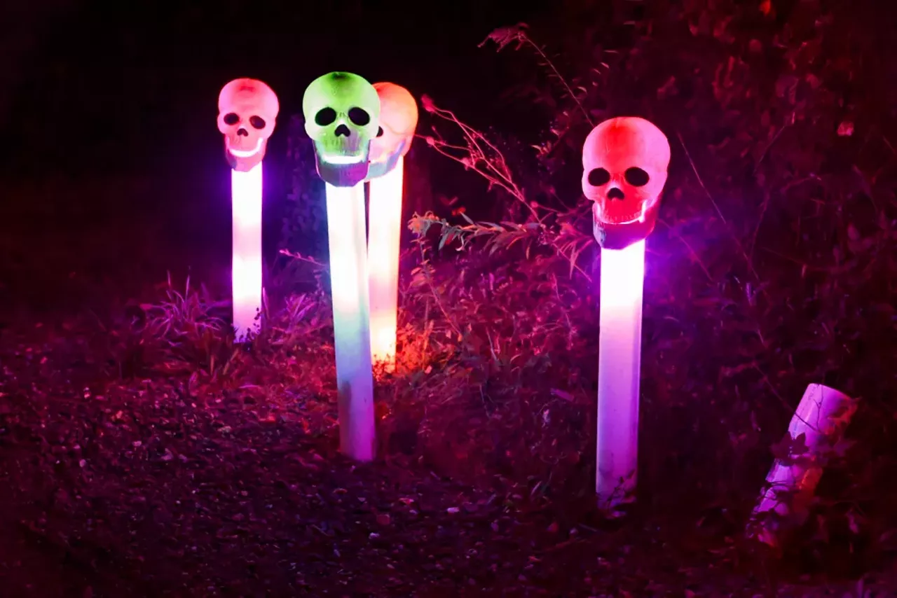 Image: Glenlore Trails' trippy and illuminated haunted forest is spookier than ever &#151;&nbsp;here's a preview