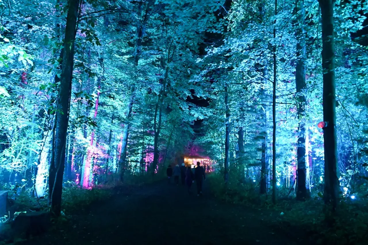 Image: Glenlore Trails' trippy and illuminated haunted forest is spookier than ever &#151;&nbsp;here's a preview