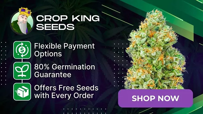 Image: Godfather OG Seeds: Grow Guide, Effects & Where to Buy