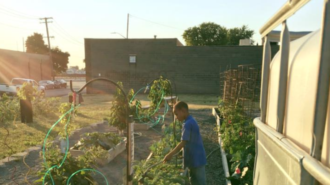 Hamtown Farms.