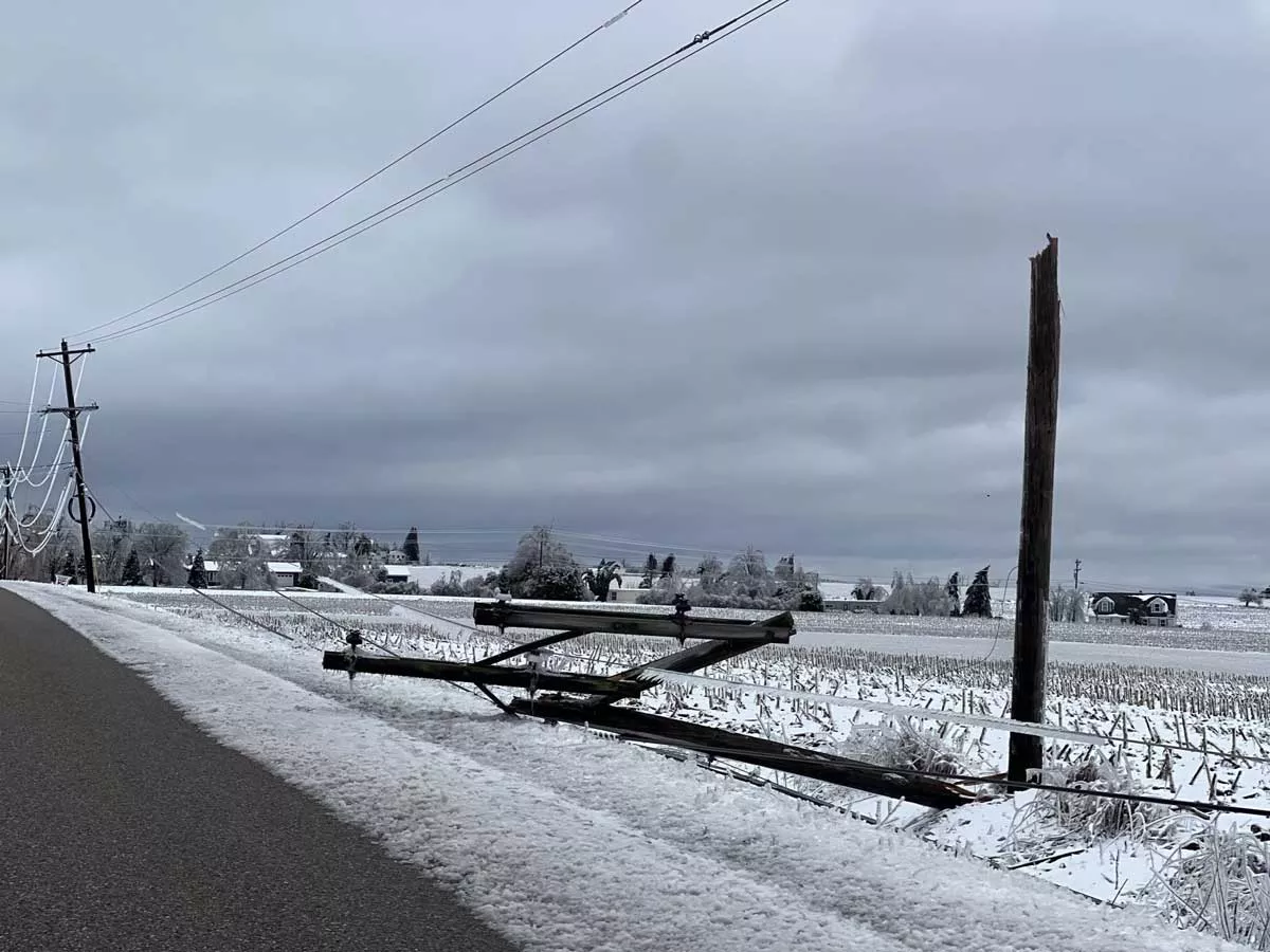 Image: A snapped-off utility pole lays by the side of the road in Bear Creek Township on March 31, 2025.