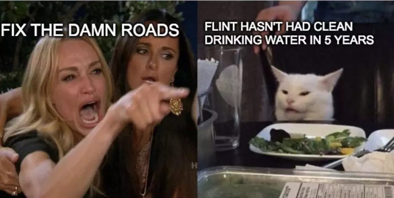 Hilarious Detroit versions of the 'Woman Yelling at Cat' meme