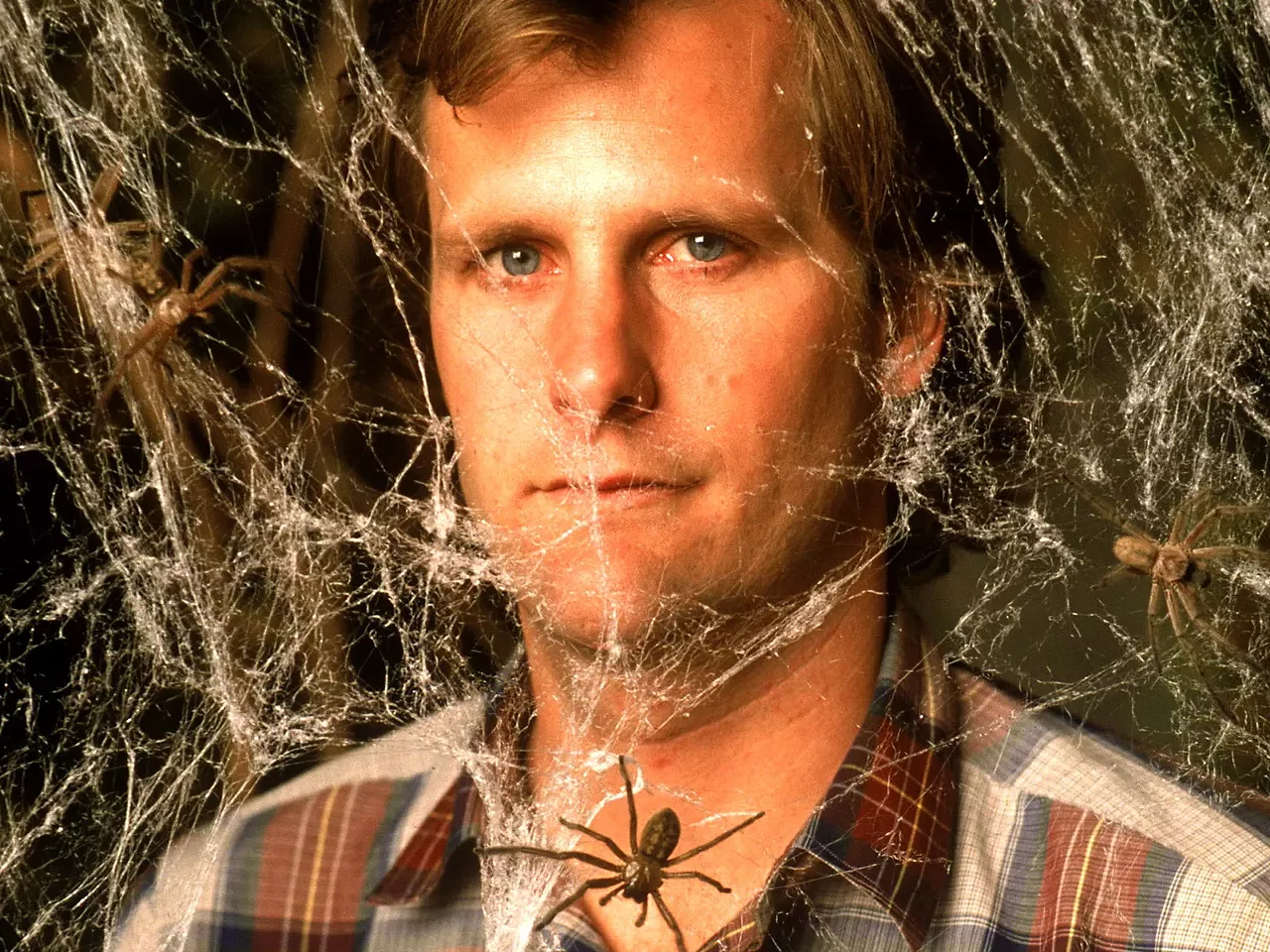 Arachnophobia John Goodman steals every single scene that he appears in, in 1990’s Arachnophobia, and some of the scenes that he doesn’t. His character is so strong that it’s easy to forget Jeff Daniels in the lead role. Daniels isn’t bad at all; he plays the meek dad/husband who gets tough at the end very well. Plus he gets to kill the big, bad spider in the basement. Sadly, unlike Goodman, he didn’t have his own theme tune upon entering a room.