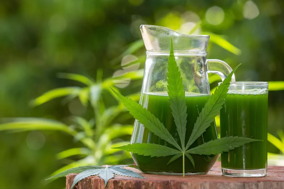 Image: How To Detox THC From Your System Fast (2024)