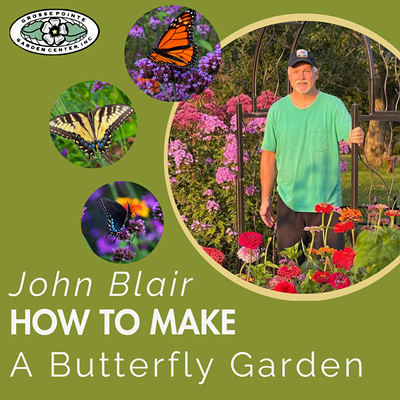 How to Make a Butterfly Garden with John Blair