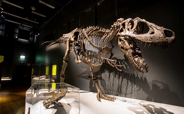 The Tyrannosaurs - Meet the Family exhibit at the Michigan Science Center includes a life-size replica of a T. rex skeleton.