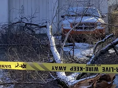 Image: I had to ask for days for DTE Energy to remove a downed wire from my Detroit backyard (2)