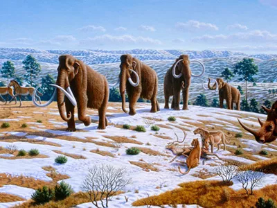 A start-up called Colossal raised $15 million to attempt to resurrect the woolly mammoth — well, sort of.