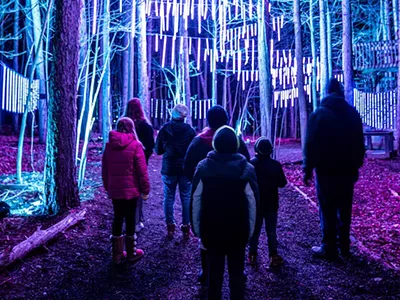 Image: Illuminated Glenlore Trails in Commerce will once again transform into a winter wonderland (2)