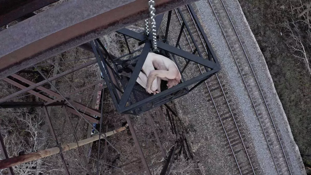 Image: In the cage of manhood, how you suffer, you broken little boys