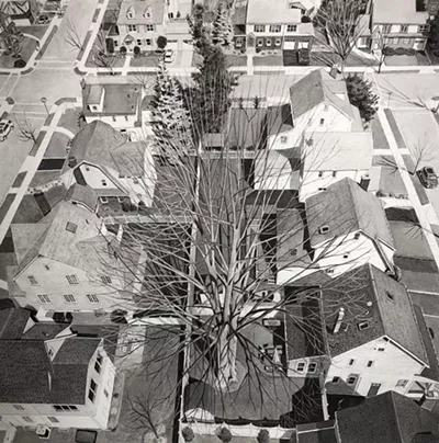 Image: Jessica Rohrer: Close To Home
