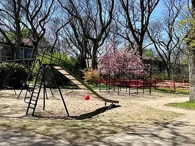 Image: Lafayette Park residents rise up as steam project threatens historic development