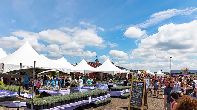 Image: Lavender Festival