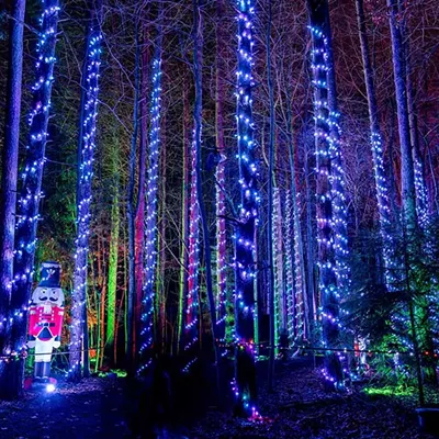 Image: Let’s take a tour of the new Glenlore Trails ‘Aurora’ winter attraction