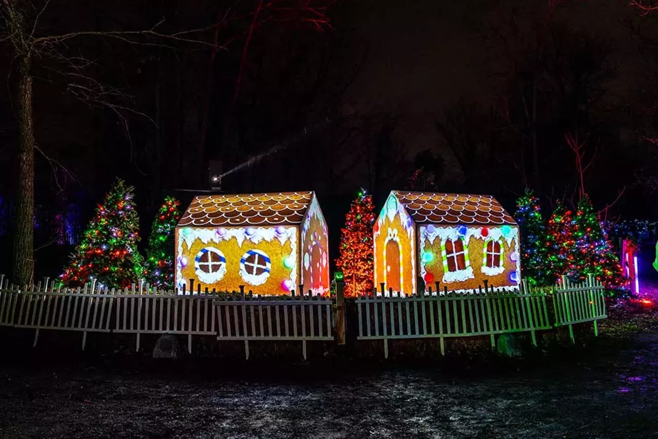 Image: Let’s take a tour of the new Glenlore Trails ‘Aurora’ winter attraction