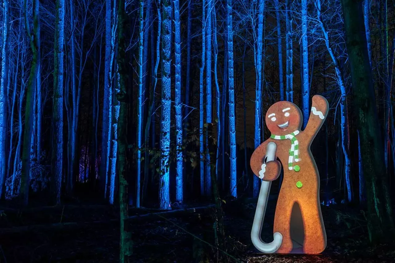 Image: Let’s take a tour of the new Glenlore Trails ‘Aurora’ winter attraction