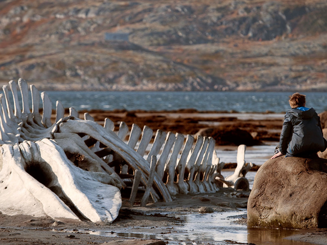'Leviathan' takes on Russian corruption