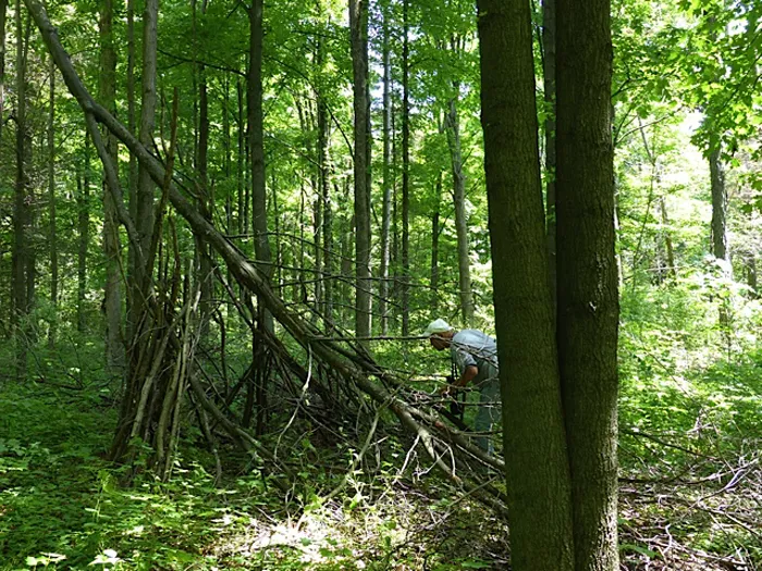 Look for teepee-like structures.