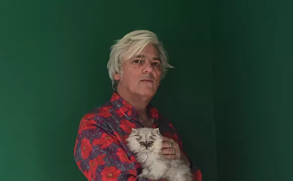 Image: Magic Bag Presents: Robyn Hitchcock (SOLO)