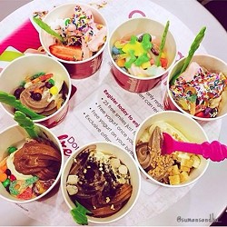 Menchie’s Frozen Yogurt opens Shelby Township location