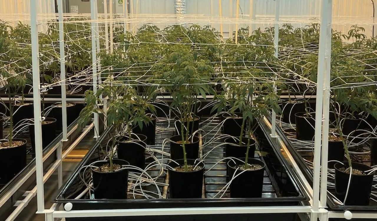  Best Grow Shop (Macomb): Hydropros 44800 Van Dyke Ave., Utica; 586-803-0966; hydropros.com