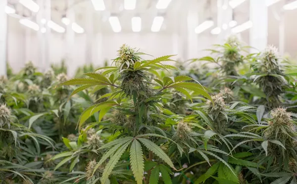 Michigan regulators have been cracking down on cannabis businesses that commit violations.
