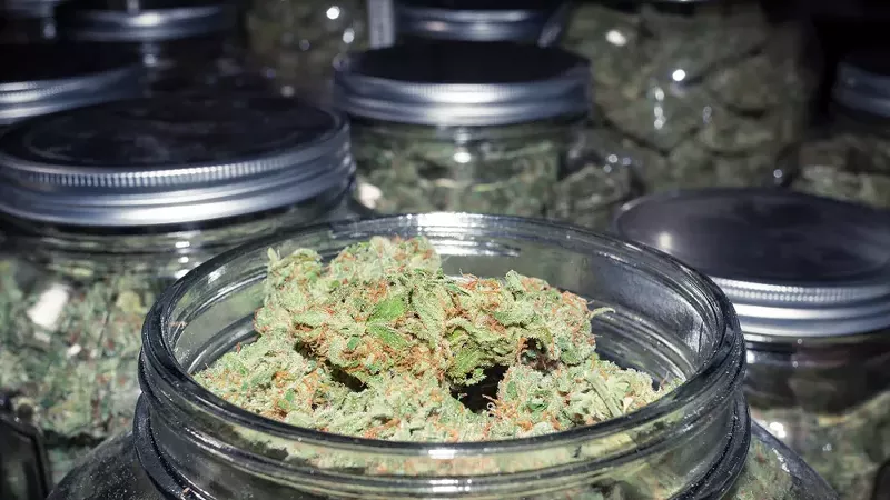 Michigan regulators banned Youssef Barakat from working in the cannabis industry in the state follow several serious allegations.