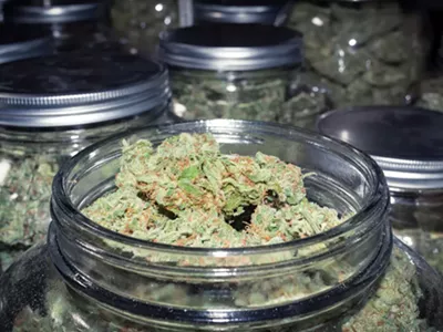 Michigan regulators banned Youssef Barakat from working in the cannabis industry in the state follow several serious allegations.