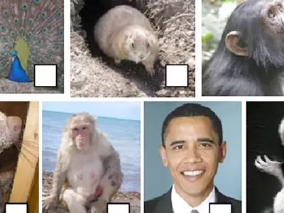 Image: Michigan private school apologizes for assignment that compares Obama to monkeys (2)