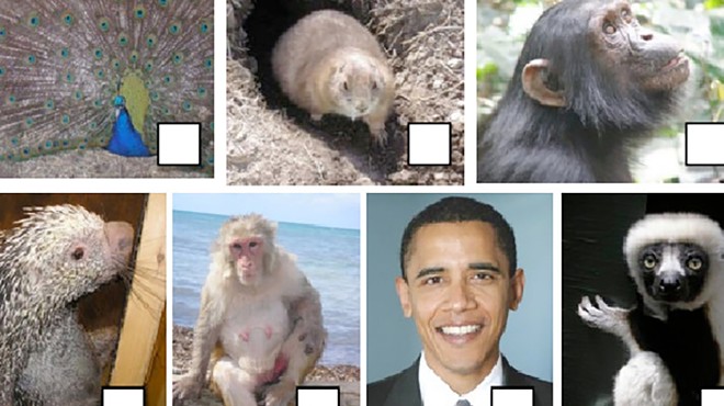 Michigan private school apologizes for assignment that compares Obama to monkeys (2)