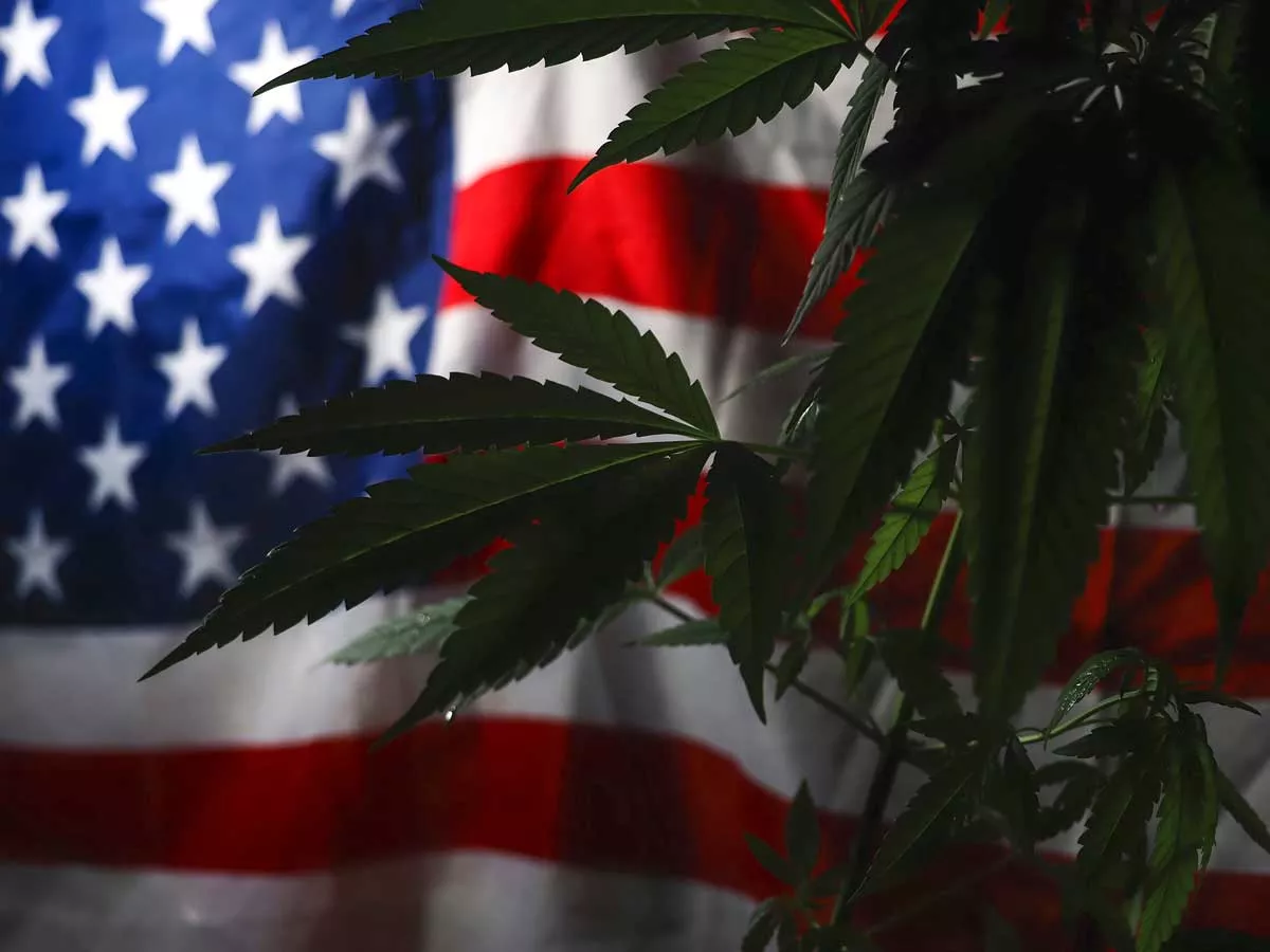 Image: “There’s not a lot of great ideas coming from the Democrats” Michigan Republican House Speaker Matt Hall said of Gov. Gretchen Whitmer’s controversial plan to fix roads by raising cannabis taxes.