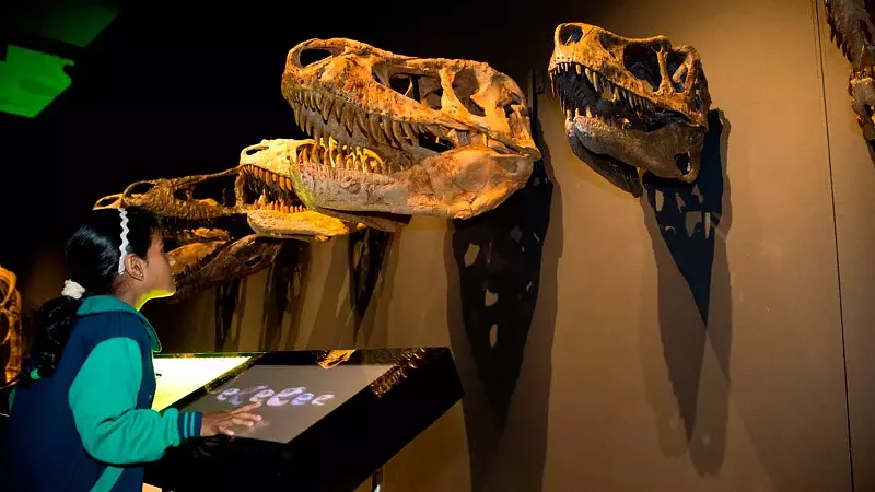 Image: Michigan Science Center’s T. rex exhibit extended though May